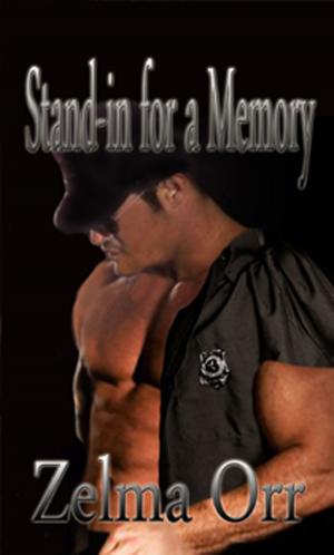 Cover of the book Stand-in for a Memory by M. Garnet