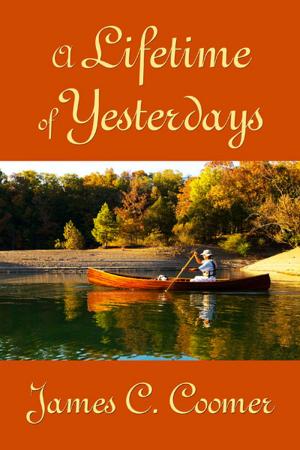 Cover of the book A Lifetime of Yesterdays by Adam Alexander Haviaras