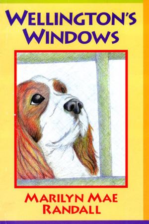 Cover of the book Wellington's Windows by Kate Genovese