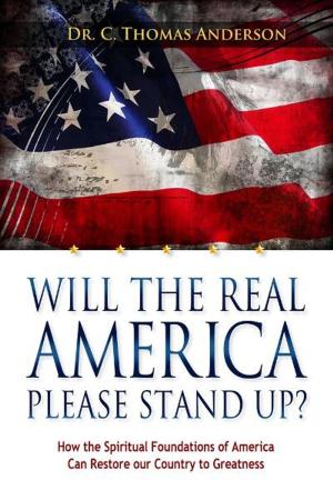 Book cover of Will The Real America Please Stand Up?