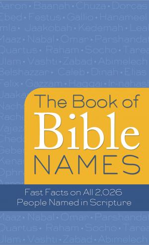 Cover of the book The Book of Bible Names by Johnnie Alexander, Lauralee Bliss, Ramona K. Cecil, Rita Gerlach, Sherri Wilson Johnson, Rose Allen McCauley, Christina Miller