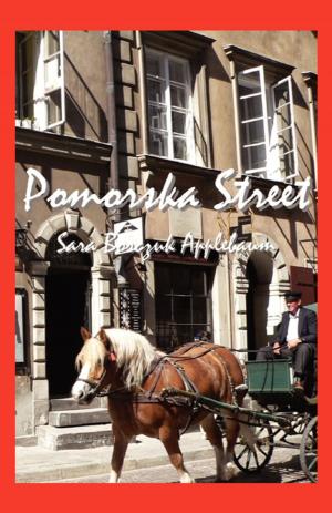 Cover of the book POMORSKA STREET by Peter Takis