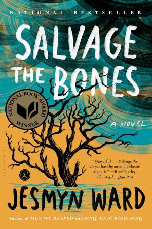 Cover of the book Salvage the Bones by Dr Susan Woodford