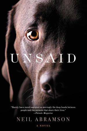 Cover of the book Unsaid by Elizabeth Emerson Hancock