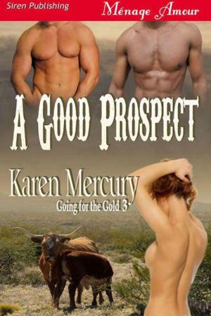 Cover of the book A Good Prospect by Gabrielle Evans