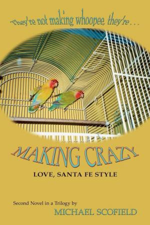 Cover of the book Making Crazy by Antonio Cammarata