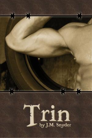 Cover of the book Trin by Amanda Isaac