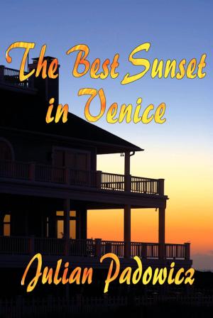 Cover of the book The Best Sunset in Venice by Linda Collison