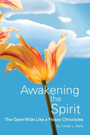 Cover of the book Awakening the Spirit by 白波, 郭興文