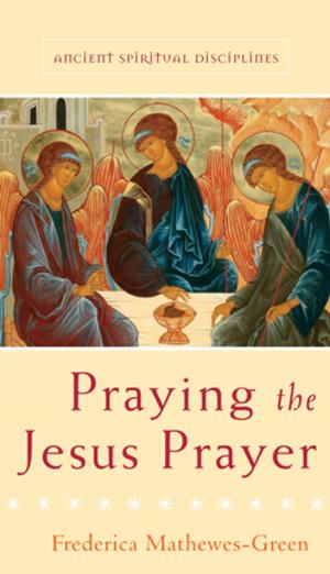 Cover of the book Praying the Jesus Prayer by Rev. Nancy C. James