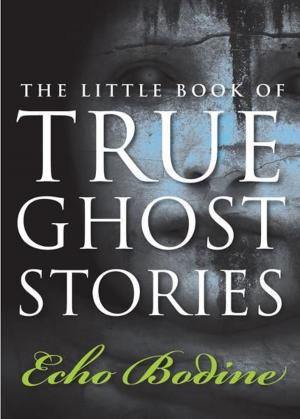 Book cover of The Little Book of True Ghost Stories