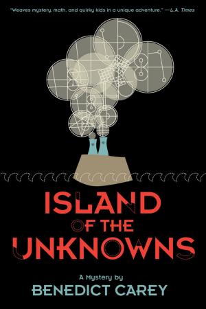 Book cover of Island of the Unknowns