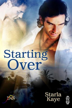 Cover of the book Starting Over by Allie Standifer