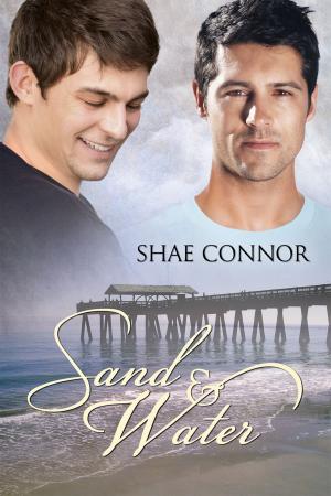 Cover of the book Sand &amp; Water by Carole Cummings