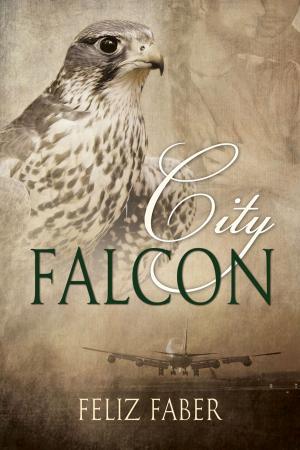 Cover of the book City Falcon by Susanna Hays