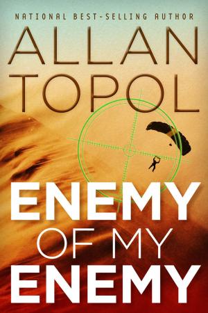 Cover of the book Enemy of My Enemy by James Jakins