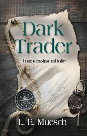Book cover of DARK TRADER