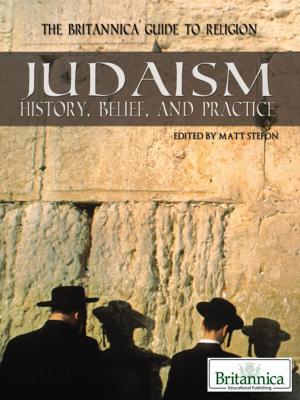 Cover of the book Judaism by Ariana  Wolff