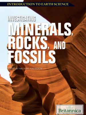 Book cover of Investigating Minerals, Rocks, and Fossils