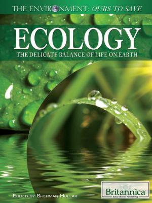 Cover of the book Ecology by Elizabeth Lachner