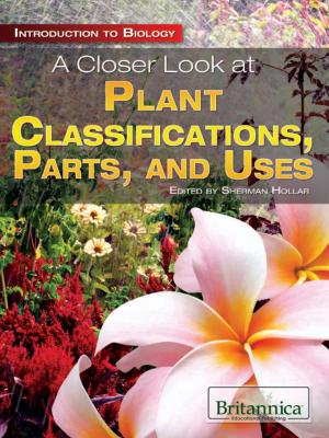 Book cover of A Closer Look at Plant Classifications, Parts, and Uses