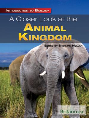 Book cover of A Closer Look at the Animal Kingdom