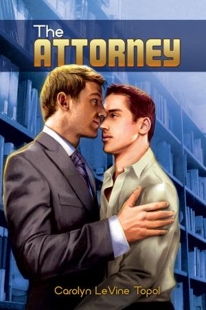 Cover of the book The Attorney by Melissa Stone