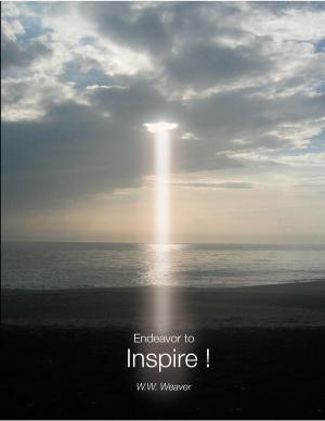 Cover of the book Endeavor to Inspire ! by Chris Shedlick