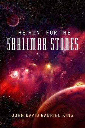 Cover of the book The Hunt For The Shalimar Stones by Ric Flauding