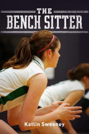 Cover of the book The Bench Sitter by Jered Lyle Wilson