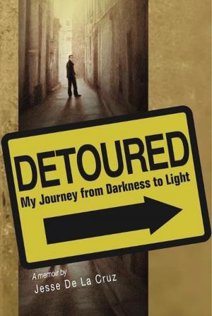 Cover of the book Detoured by Patricia Filteau