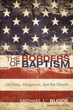 Cover of the book The Borders of Baptism by James Boyd White