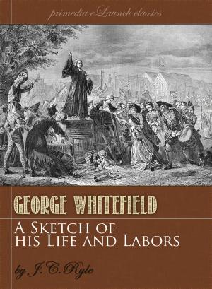 Cover of the book A Sketch of the Life and Labors of George Whitefield by Hermann Gunkel