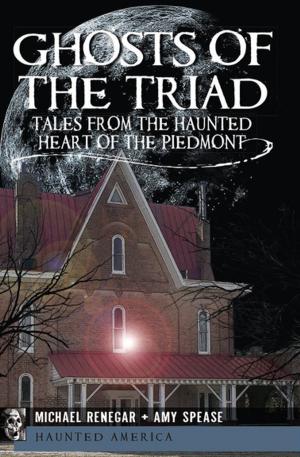 Cover of the book Ghosts of the Triad by Thomas James Streicher, Ph.D.