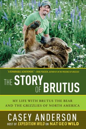 bigCover of the book The Story of Brutus: My Life with Brutus the Bear and the Grizzlies of North America by 
