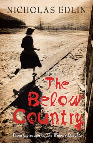Cover of the book Below Country by Chris Perkins
