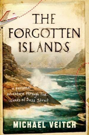 Cover of the book The Forgotten Islands by Paul Jennings