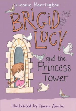 Book cover of Brigid Lucy: Brigid Lucy and the Princess Tower