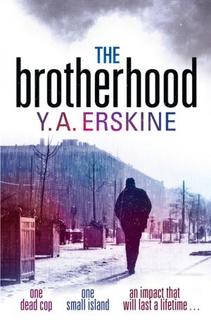 Cover of the book The Brotherhood by Breakfield and Burkey