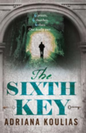 Cover of the book The Sixth Key by Z. A. Coe
