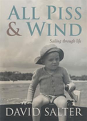 Cover of the book All Piss &amp; Wind by Fiona McArthur