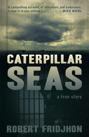 Cover of the book Caterpillar Seas by Leon de Kock