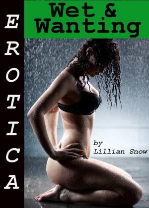 bigCover of the book Erotica: Wet & Wanting, Tales of Sex by 