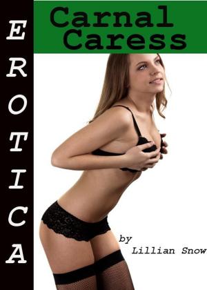 Book cover of Erotica: Carnal Caress, Tales of Sex