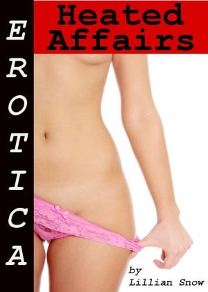 Cover of the book Erotica: Heated Affairs, Tales of Sex by Davie Dix