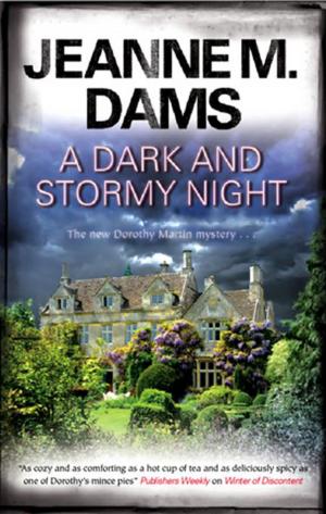 Cover of the book Dark and Stormy Night, A by Andreu Martín