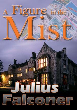 Cover of the book A Figure in the Mist by Julius Falconer
