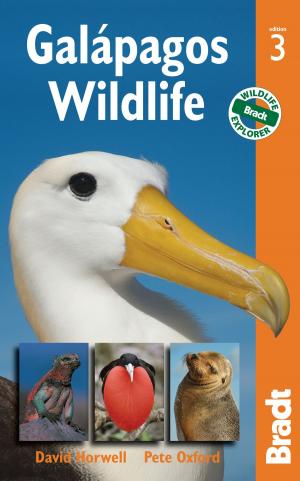 Cover of the book Galápagos Wildlife by Lucy Mallows