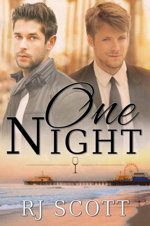 Cover of the book One Night by V.L. Locey