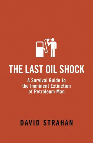 bigCover of the book The Last Oil Shock by 